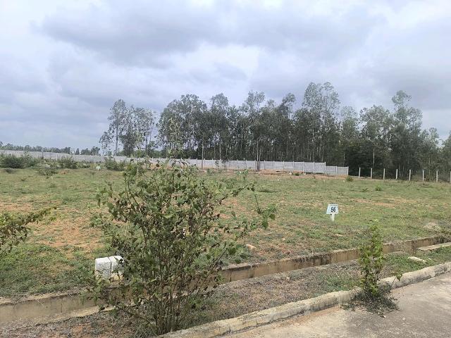 Residential Plot in Hoskote for resale Bengaluru. The reference number is 20663612