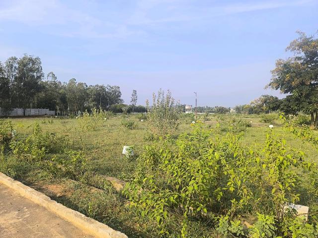 Residential Plot in Hoskote for resale Bengaluru. The reference number is 21268645