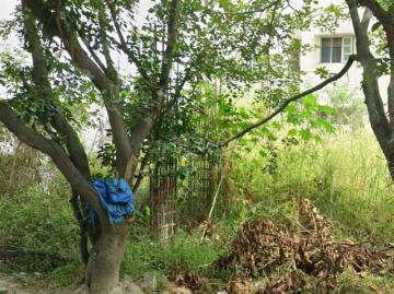 Residential Plot in HSR Layout for resale Bengaluru. The reference number is 20541290