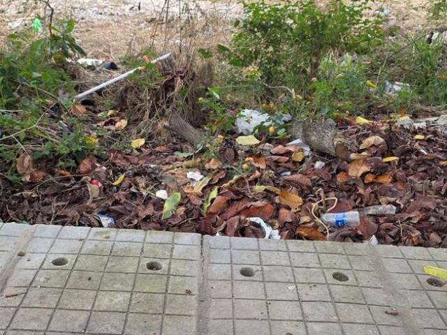 Residential Plot in HSR Layout for resale Bengaluru. The reference number is 21089056