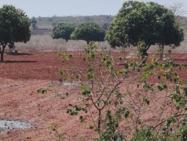 Residential Plot in Ibrahimpatnam for resale Hyderabad. The reference number is 19669028
