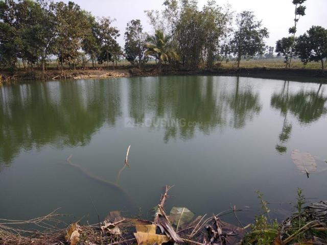 Residential Plot in Ichapur for resale Kolkata. The reference number is 20542169