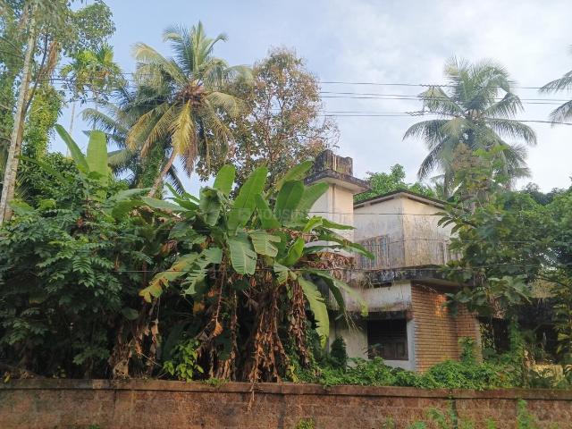 Residential Plot in Illathaazha for resale Kannur. The reference number is 20636915