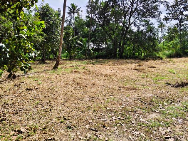 Residential Plot in Irinjalakuda for resale Thrissur. The reference number is 18905257