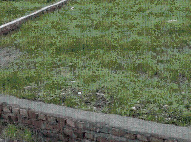 Residential Plot in ISBT Dehradun for resale Dehradun. The reference number is 21131075