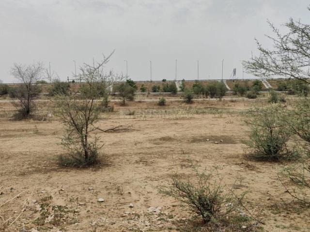 Residential Plot in Jagatpura for resale Jaipur. The reference number is 19598014
