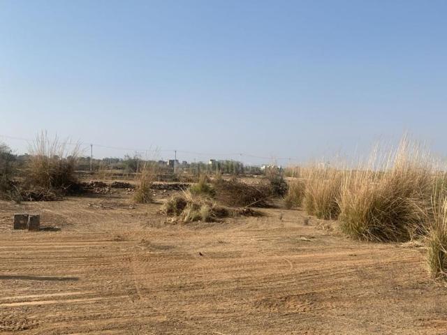 Residential Plot in Jagatpura for resale Jaipur. The reference number is 18978073