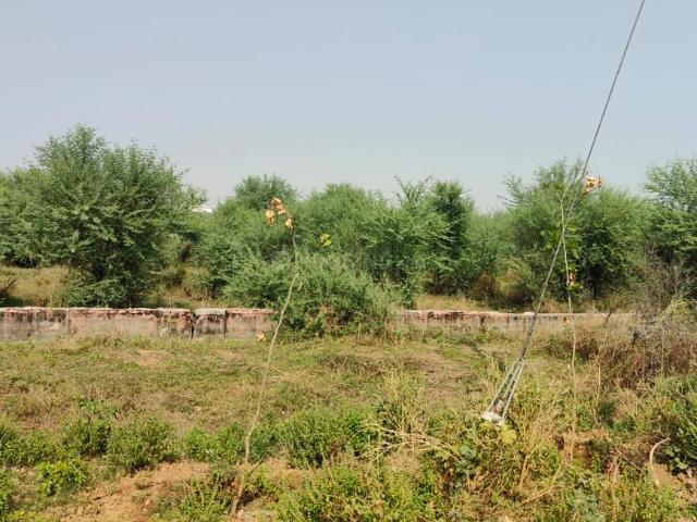 Residential Plot in Jagatpura for resale Jaipur. The reference number is 19769300