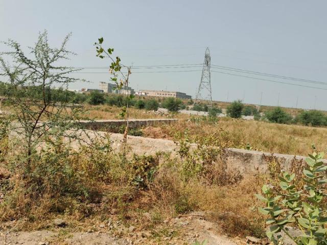 Residential Plot in Jagatpura for resale Jaipur. The reference number is 20059102