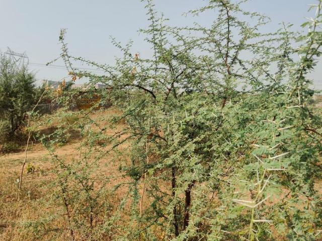 Residential Plot in Jagatpura for resale Jaipur. The reference number is 20061383