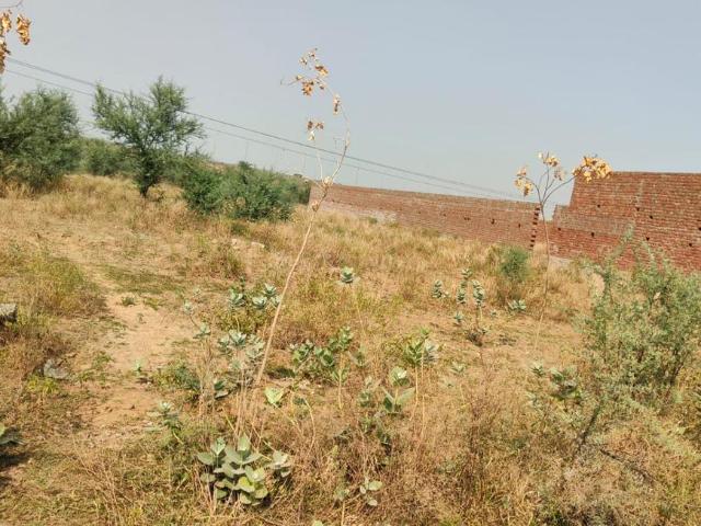 Residential Plot in Jagatpura for resale Jaipur. The reference number is 20039241