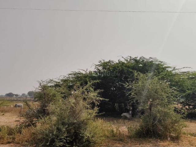Residential Plot in Jagatpura for resale Jaipur. The reference number is 20560770