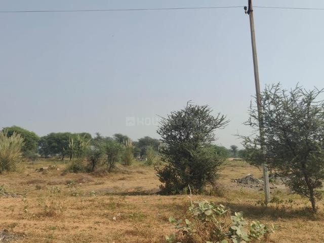 Residential Plot in Jagatpura for resale Jaipur. The reference number is 20900808
