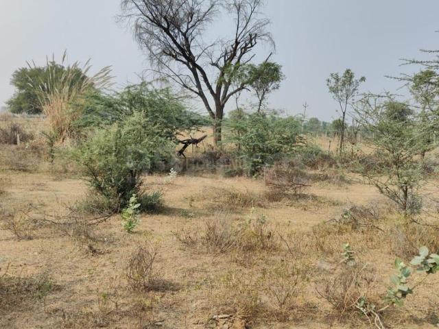 Residential Plot in Jagatpura for resale Jaipur. The reference number is 20917735