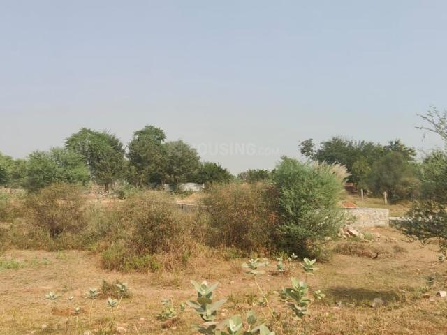 Residential Plot in Jagatpura for resale Jaipur. The reference number is 21165540