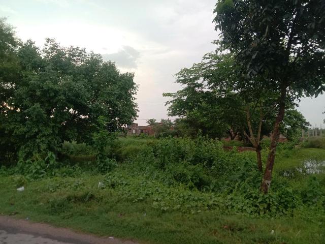 Residential Plot in Jagadishpur, Sonarpur for resale Kolkata. The reference number is 16525514