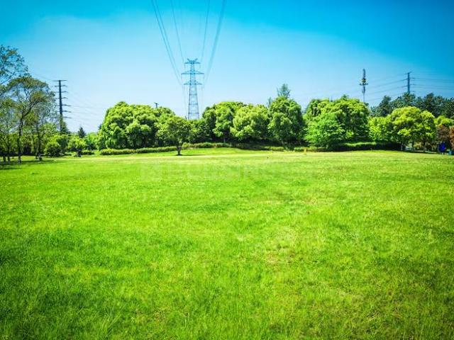 Residential Plot in Jait for resale Vrindavan. The reference number is 19400507