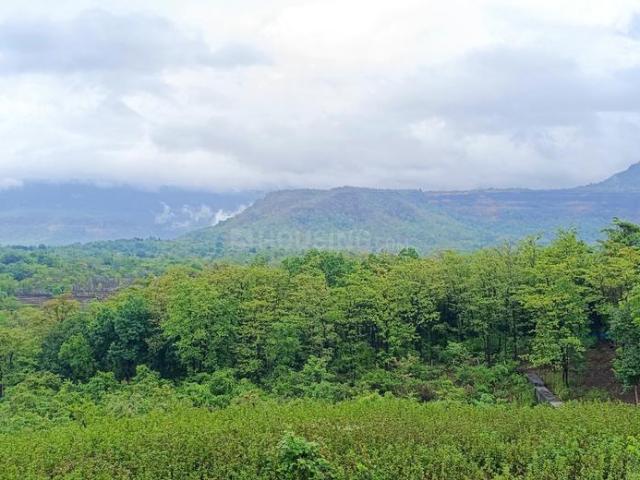 Residential Plot in Jambrung for resale Thane. The reference number is 20683199