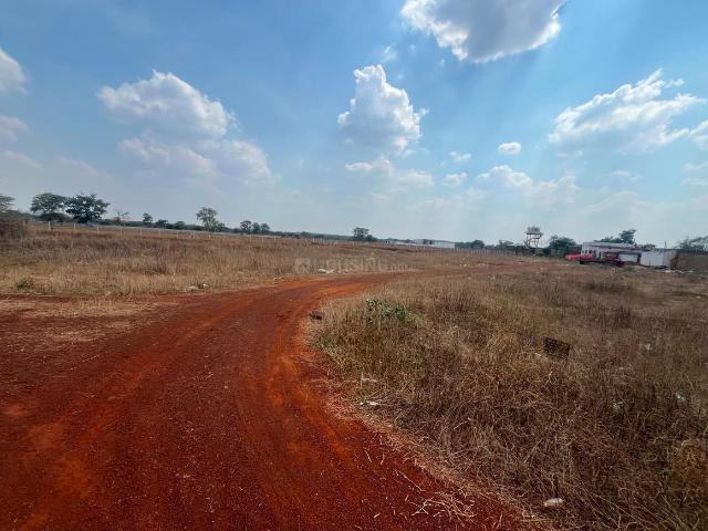 Residential Plot in Jamul for resale Bhilai. The reference number is 20446202