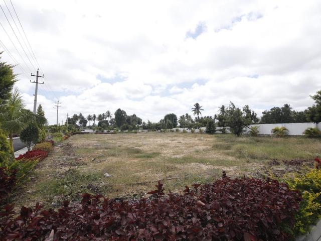 Residential Plot in Jayapura for resale Mysore. The reference number is 14309101