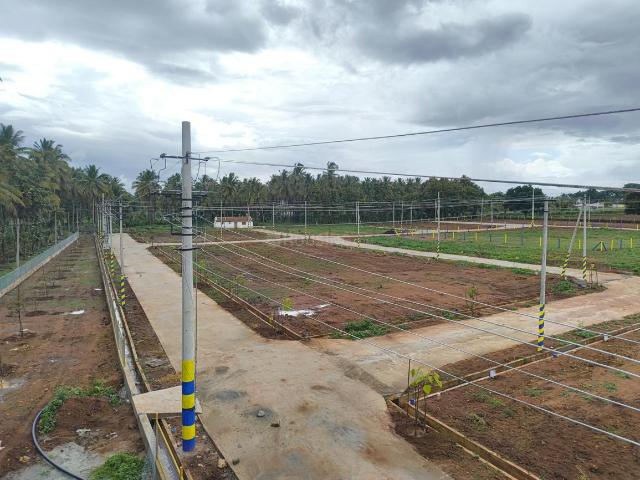 Residential Plot in Jayapura for resale Mysore. The reference number is 15021656