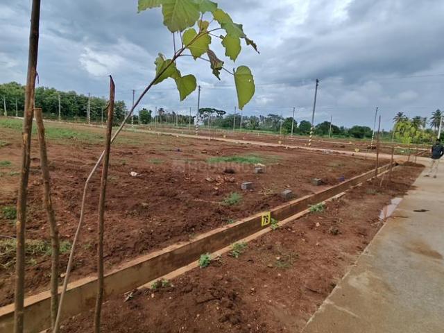 Residential Plot in Jayapura for resale Mysore. The reference number is 15438014