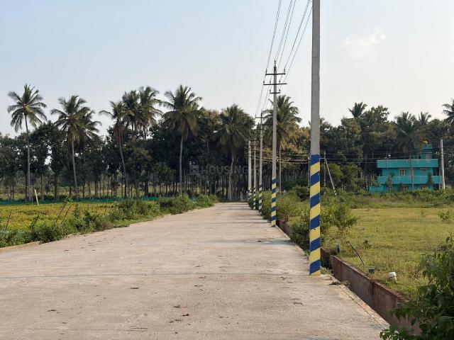 Residential Plot in Jayapura for resale Mysore. The reference number is 21279989