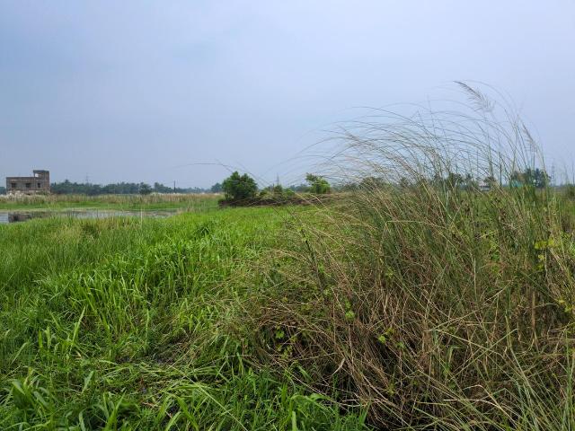 Residential Plot in Joka for resale Kolkata. The reference number is 21060646