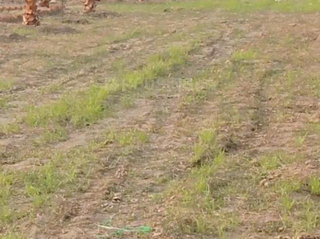 Residential Plot in Jewar for resale Greater Noida. The reference number is 20270181