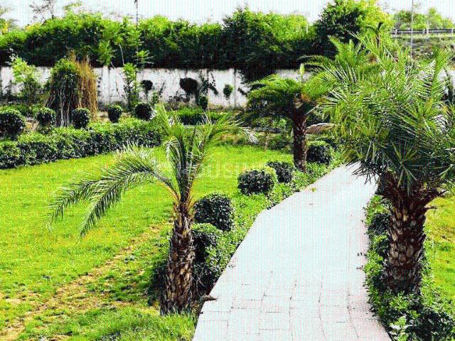 Residential Plot in Jewar for resale Greater Noida. The reference number is 20813931