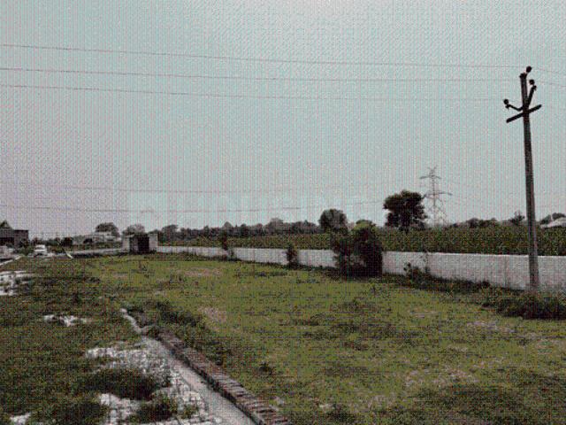 Residential Plot in Yeida for resale Greater Noida. The reference number is 20987569