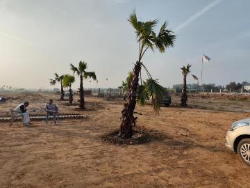 Jhajjar, Jhajjar District, Haryana State