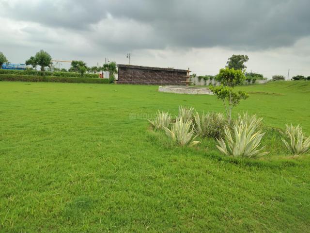 Residential Plot in Jhajjarrural for resale Jhajjar. The reference number is 19615649