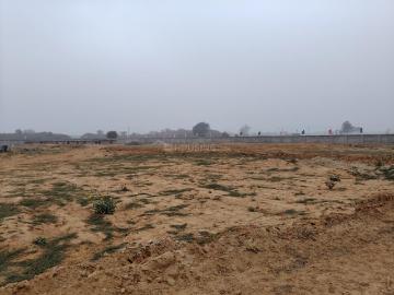 Jhajjar, Jhajjar District, Haryana State