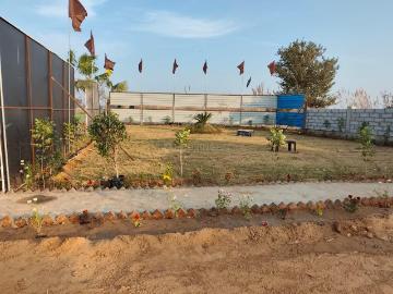 Jhajjar, Jhajjar District, Haryana State