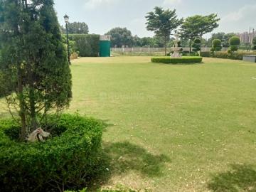 Jhajjar, Jhajjar District, Haryana State