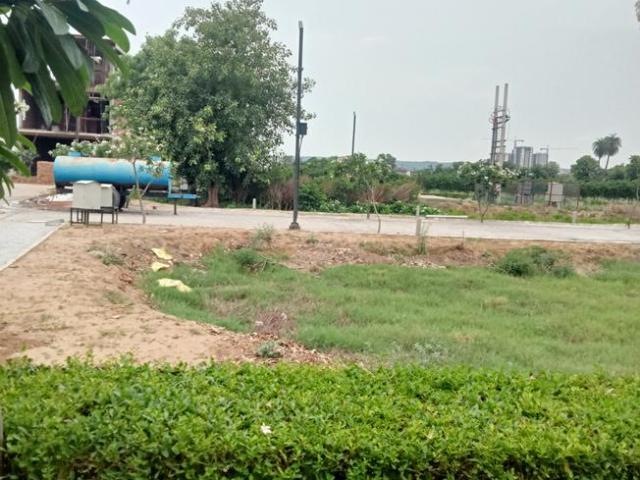 Residential Plot in Jhajjarrural for resale Jhajjar. The reference number is 20705695