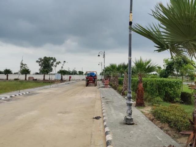 Residential Plot in Jhajjarrural for resale Jhajjar. The reference number is 21188594