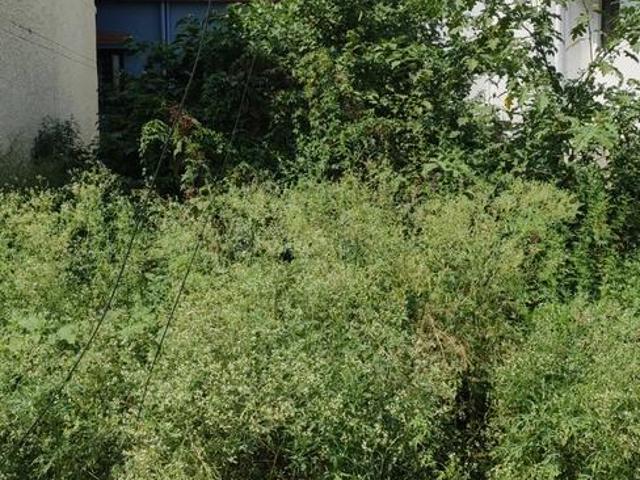 Residential Plot in Jhajra for resale Dehradun. The reference number is 20290120