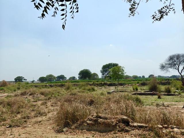 Residential Plot in Jhalwa for resale Allahabad. The reference number is 20566397