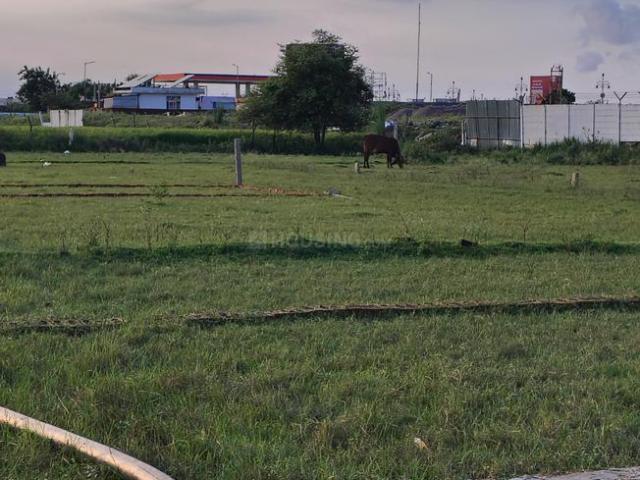 Residential Plot in Jhalwa for resale Allahabad. The reference number is 21304823