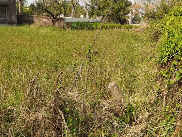 Residential Plot in Joka for resale Kolkata. The reference number is 18618940
