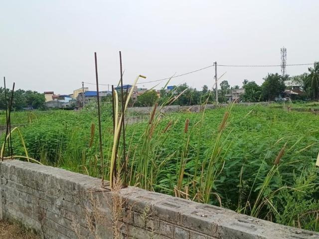 Residential Plot in Joka for resale Kolkata. The reference number is 20434836