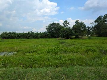 Residential Plot in Joka for resale Kolkata. The reference number is 20566992
