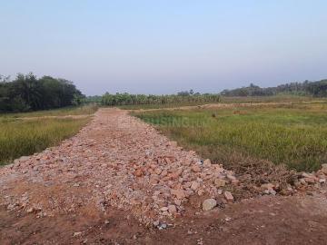 Residential Plot in Joka for resale Kolkata. The reference number is 20567051
