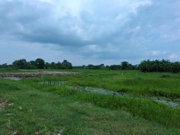 Residential Plot in Joka for resale Kolkata. The reference number is 20567087