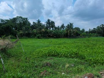 Residential Plot in Joka for resale Kolkata. The reference number is 20567134