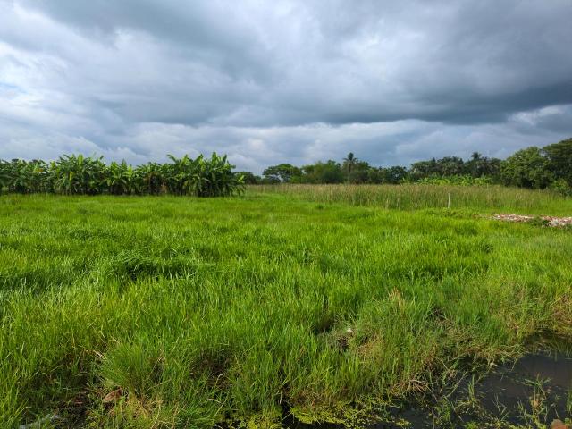Residential Plot in Joka for resale Kolkata. The reference number is 20614130
