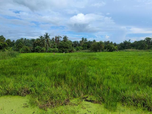 Residential Plot in Joka for resale Kolkata. The reference number is 20614131