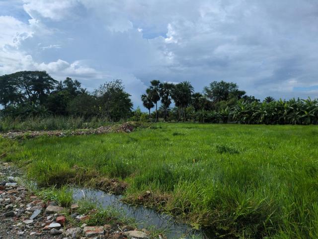 Residential Plot in Joka for resale Kolkata. The reference number is 20614169